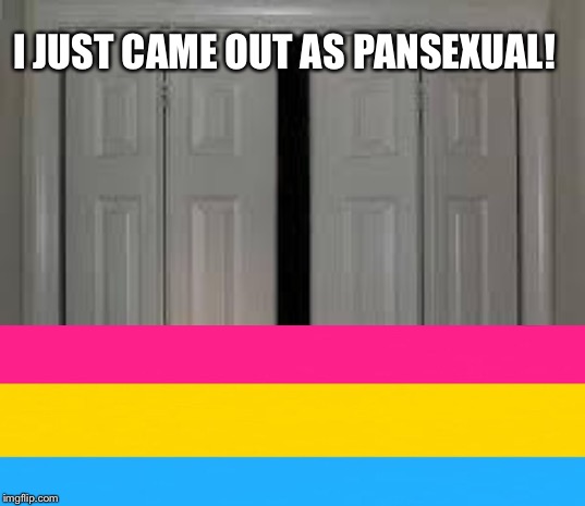 closet | I JUST CAME OUT AS PANSEXUAL! | image tagged in closet | made w/ Imgflip meme maker