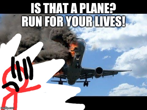 plane crash | IS THAT A PLANE? RUN FOR YOUR LIVES! | image tagged in plane crash,stickdanny,memes | made w/ Imgflip meme maker