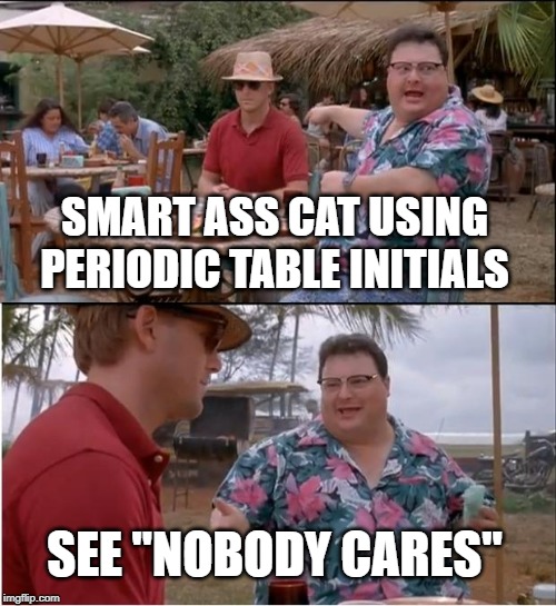 See Nobody Cares Meme | SMART ASS CAT USING PERIODIC TABLE INITIALS SEE "NOBODY CARES" | image tagged in memes,see nobody cares | made w/ Imgflip meme maker