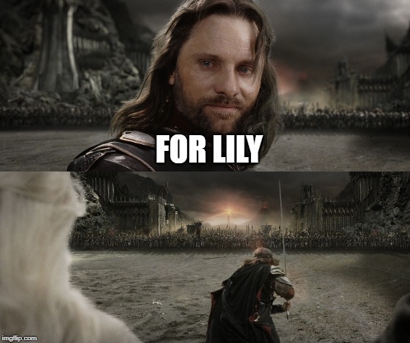  FOR LILY | image tagged in reaction | made w/ Imgflip meme maker