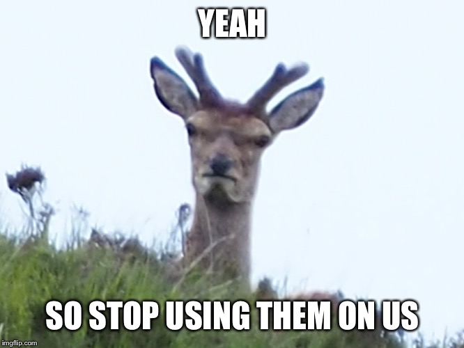 furious deer | YEAH SO STOP USING THEM ON US | image tagged in furious deer | made w/ Imgflip meme maker