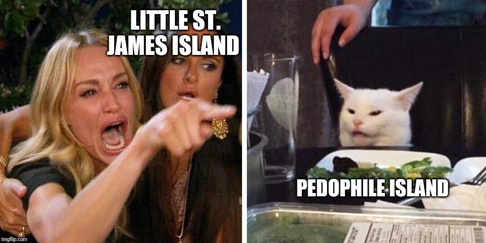 The lifestyle of the rich and powerful Pedophiles | LITTLE ST. JAMES ISLAND; PEDOPHILE ISLAND | image tagged in smudge the cat,clinton,trump,bloomberg,jeffrey epstein,suicided | made w/ Imgflip meme maker