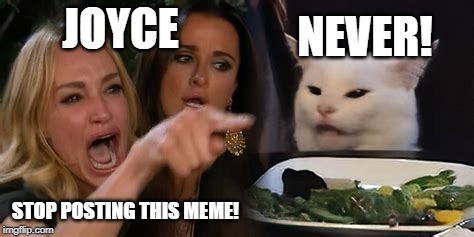 Woman Yelling at Cat (Full Screen) | JOYCE; NEVER! STOP POSTING THIS MEME! | image tagged in woman yelling at cat full screen | made w/ Imgflip meme maker