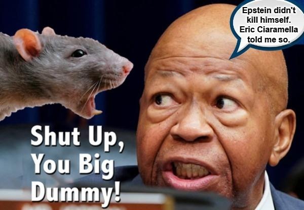 Epstein Didn't Kill Himself | image tagged in elijah cummings,baltimore rats,rats,jeffrey epstein,eric ciaramella,ratfink | made w/ Imgflip meme maker