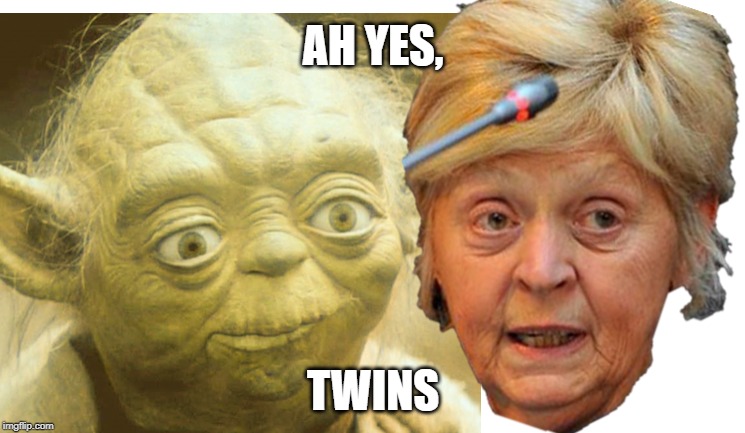 Ah yes, Twins | AH YES, TWINS | image tagged in twins | made w/ Imgflip meme maker