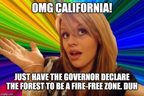 Dumb Blonde | OMG CALIFORNIA! JUST HAVE THE GOVERNOR DECLARE THE FOREST TO BE A FIRE-FREE ZONE. DUH | image tagged in memes,california,fire,leftists | made w/ Imgflip meme maker
