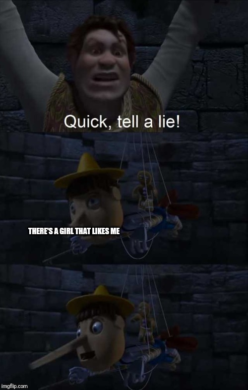 Quick, Tell a Lie! | THERE'S A GIRL THAT LIKES ME | image tagged in quick tell a lie | made w/ Imgflip meme maker