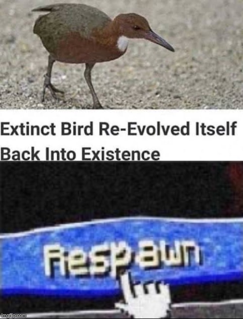 BIRD HAS JOINED THE GAME | image tagged in memes,bird,minecraft | made w/ Imgflip meme maker