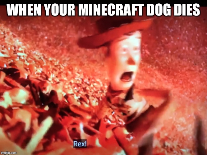 Woody REX | WHEN YOUR MINECRAFT DOG DIES | image tagged in woody | made w/ Imgflip meme maker