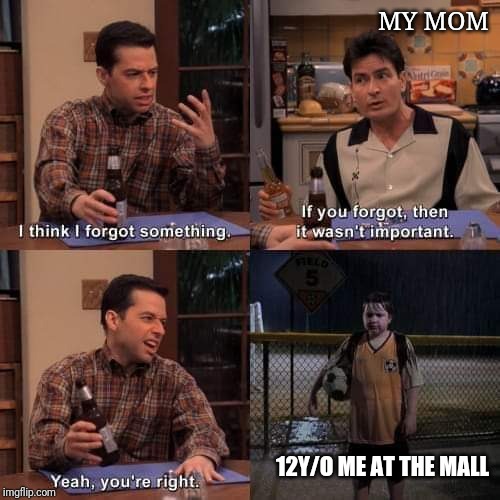 Wasn't important | MY MOM; 12Y/O ME AT THE MALL | image tagged in wasn't important | made w/ Imgflip meme maker