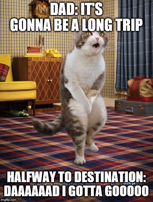 Gotta Go Cat Meme | DAD: IT'S GONNA BE A LONG TRIP; HALFWAY TO DESTINATION: DAAAAAAD I GOTTA GOOOOO | image tagged in memes,gotta go cat | made w/ Imgflip meme maker