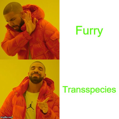 Drake Hotline Bling Meme | Furry; Transspecies | image tagged in memes,drake hotline bling | made w/ Imgflip meme maker
