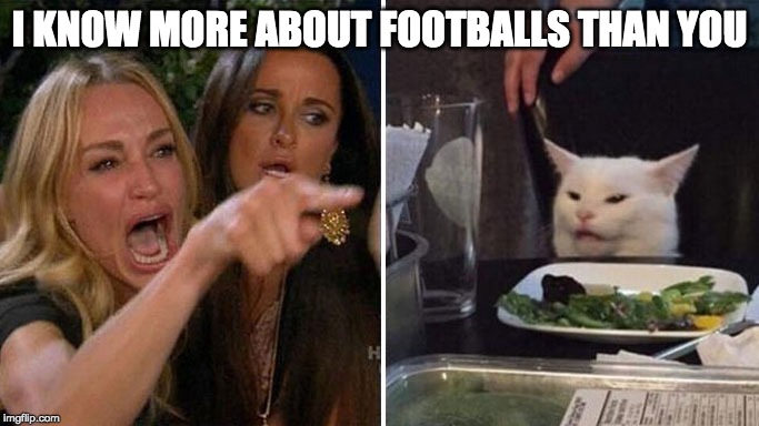 Angry lady cat | I KNOW MORE ABOUT FOOTBALLS THAN YOU | image tagged in angry lady cat | made w/ Imgflip meme maker