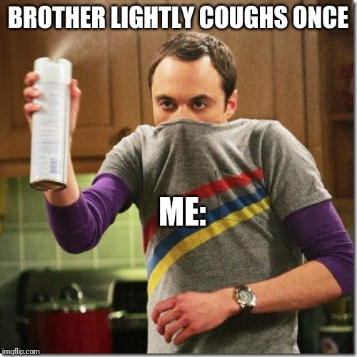 air freshener sheldon cooper |  BROTHER LIGHTLY COUGHS ONCE; ME: | image tagged in air freshener sheldon cooper | made w/ Imgflip meme maker