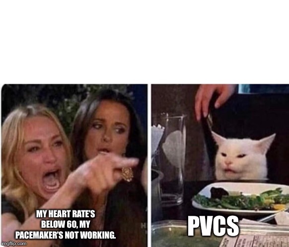 Lady screams at cat | PVCS; MY HEART RATE’S BELOW 60, MY PACEMAKER’S NOT WORKING. | image tagged in lady screams at cat | made w/ Imgflip meme maker