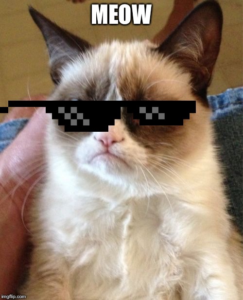 Grumpy Cat |  MEOW | image tagged in memes,grumpy cat | made w/ Imgflip meme maker