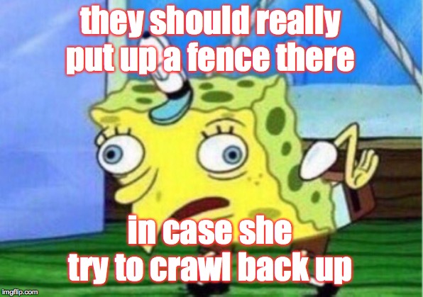 Mocking Spongebob Meme | they should really put up a fence there in case she try to crawl back up | image tagged in memes,mocking spongebob | made w/ Imgflip meme maker