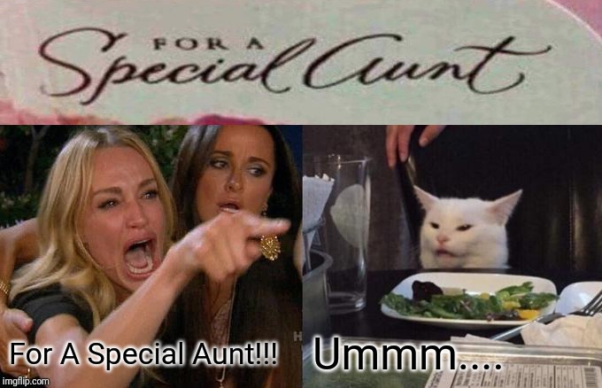 Woman Yelling At Cat | Ummm.... For A Special Aunt!!! | image tagged in memes,woman yelling at cat | made w/ Imgflip meme maker
