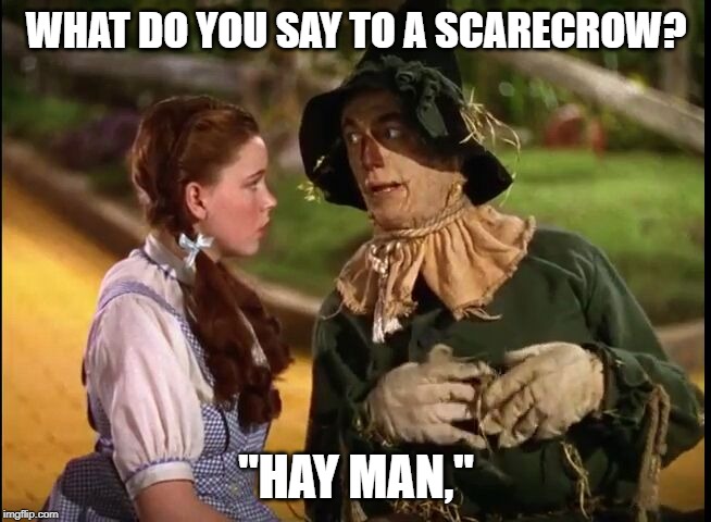 wizard of Oz scarecrow Dorothy | WHAT DO YOU SAY TO A SCARECROW? "HAY MAN," | image tagged in wizard of oz scarecrow dorothy | made w/ Imgflip meme maker