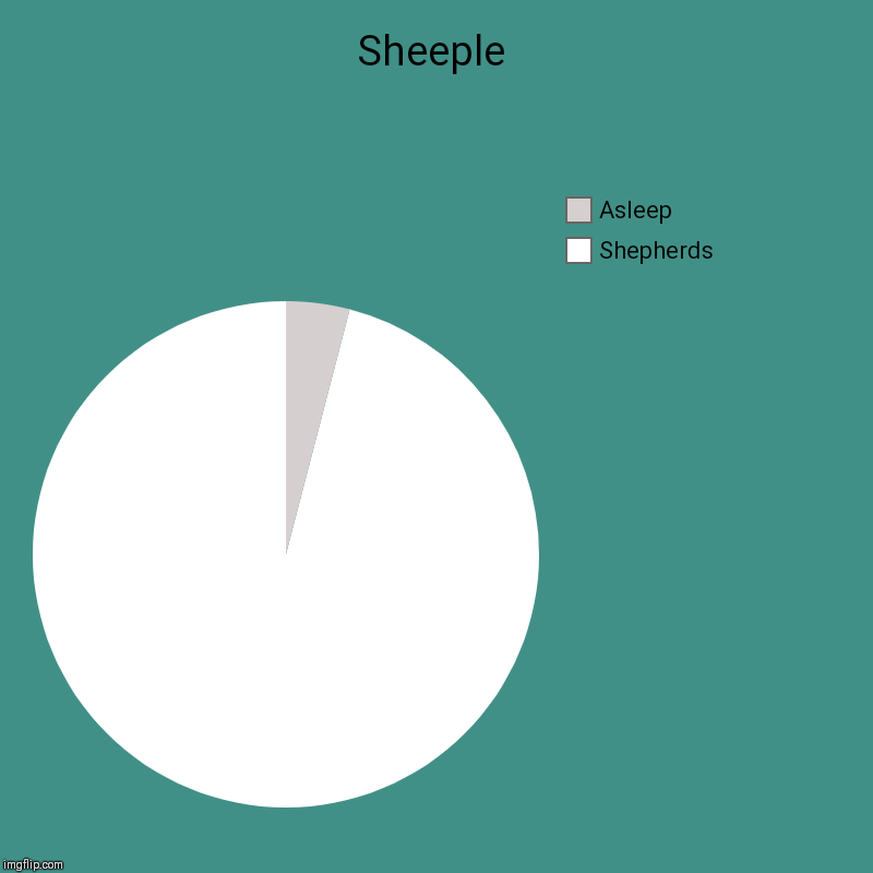 Sheeple | Shepherds, Asleep | image tagged in charts,pie charts | made w/ Imgflip chart maker