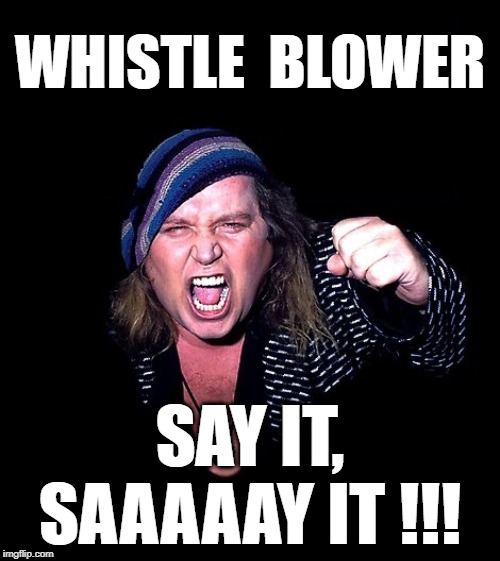 Sam Kineson Scream | WHISTLE  BLOWER; SAY IT,
SAAAAAY IT !!! | image tagged in sam kineson scream | made w/ Imgflip meme maker