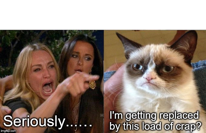 Woman Yelling At Cat Meme | I'm getting replaced by this load of crap? Seriously...… | image tagged in memes,woman yelling at cat | made w/ Imgflip meme maker