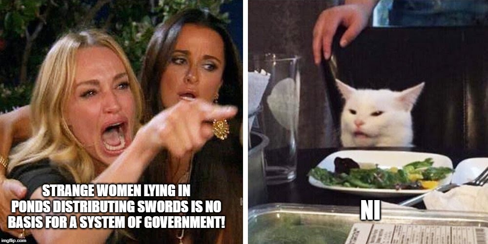 Smudge the cat | STRANGE WOMEN LYING IN PONDS DISTRIBUTING SWORDS IS NO BASIS FOR A SYSTEM OF GOVERNMENT! NI | image tagged in smudge the cat | made w/ Imgflip meme maker