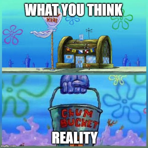 Krusty Krab Vs Chum Bucket | WHAT YOU THINK; REALITY | image tagged in memes,krusty krab vs chum bucket | made w/ Imgflip meme maker