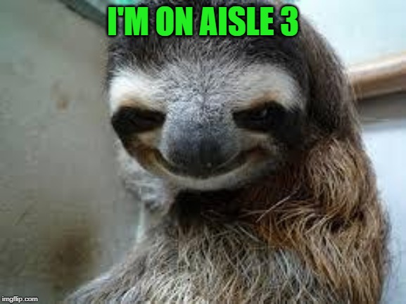 Creepy sloth | I'M ON AISLE 3 | image tagged in creepy sloth | made w/ Imgflip meme maker