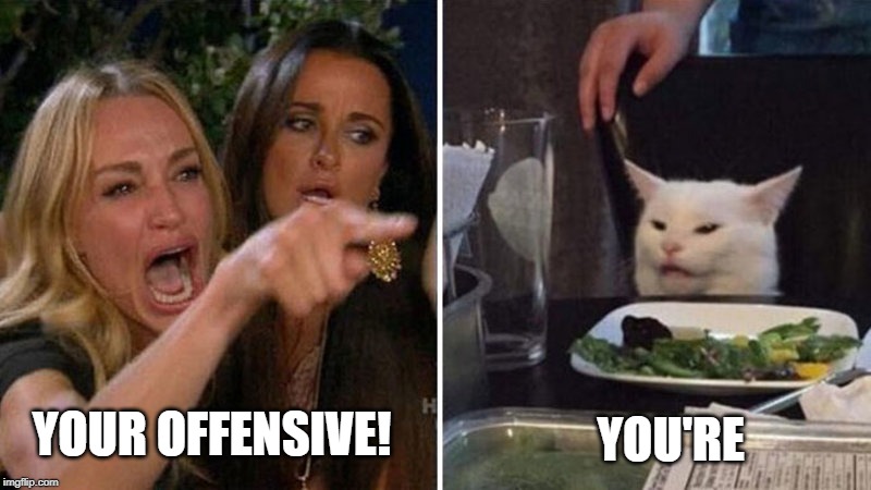 How Writers Fight on Social Media |  YOU'RE; YOUR OFFENSIVE! | image tagged in writers,social media,you're,your,grammar nazi,grammar nazi cat | made w/ Imgflip meme maker