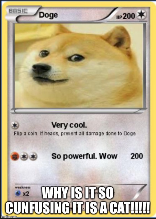 Dogeemon | WHY IS IT SO CUNFUSING IT IS A CAT!!!!! | image tagged in dogeemon | made w/ Imgflip meme maker