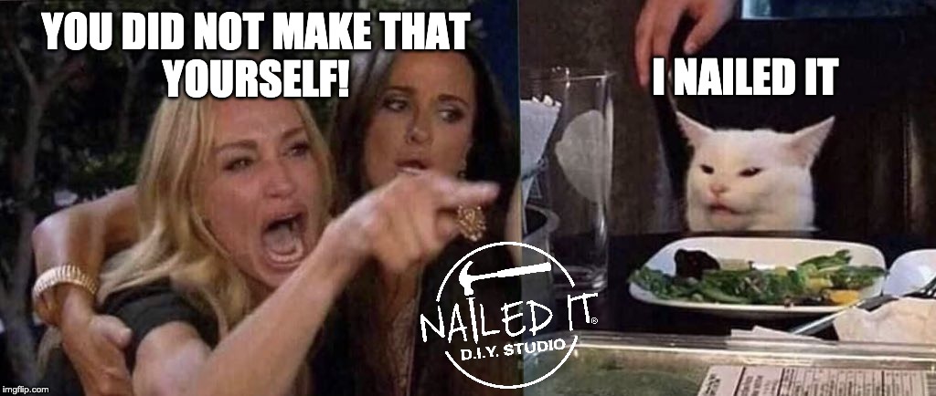 woman yelling at cat | I NAILED IT; YOU DID NOT MAKE THAT
YOURSELF! | image tagged in woman yelling at cat | made w/ Imgflip meme maker