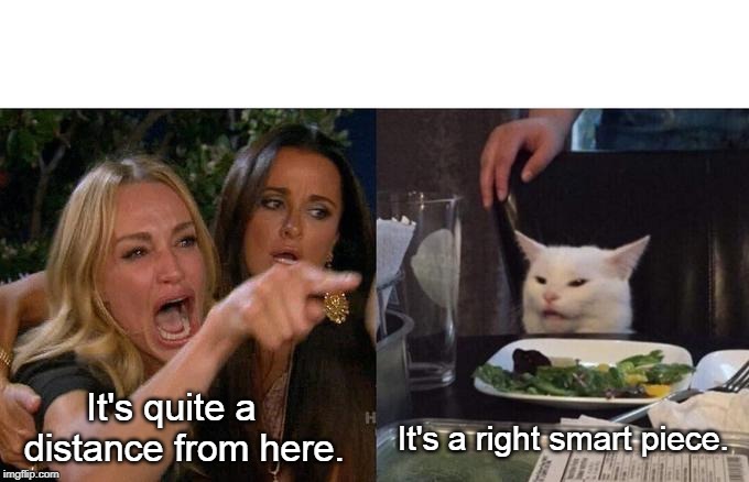 Woman Yelling At Cat | It's quite a 
  distance from here. It's a right smart piece. | image tagged in memes,woman yelling at cat | made w/ Imgflip meme maker