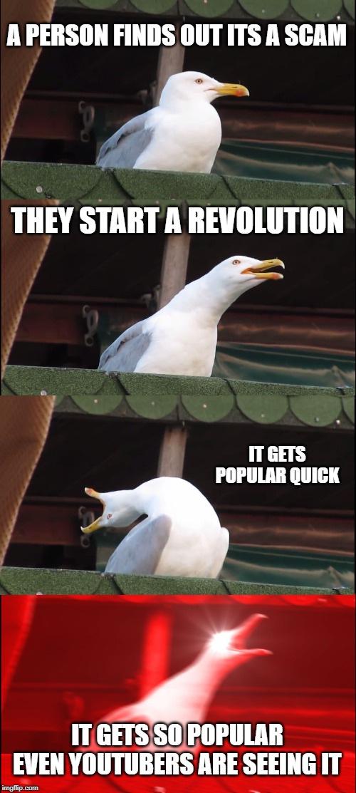 Inhaling Seagull | A PERSON FINDS OUT ITS A SCAM; THEY START A REVOLUTION; IT GETS POPULAR QUICK; IT GETS SO POPULAR EVEN YOUTUBERS ARE SEEING IT | image tagged in memes,inhaling seagull | made w/ Imgflip meme maker