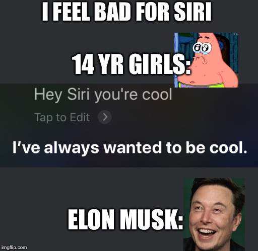 I FEEL BAD FOR SIRI; 14 YR GIRLS:; ELON MUSK: | image tagged in brace yourselves x is coming | made w/ Imgflip meme maker