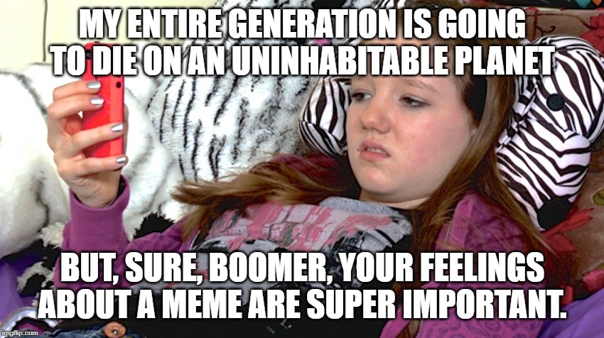ok boomer | MY ENTIRE GENERATION IS GOING TO DIE ON AN UNINHABITABLE PLANET; BUT, SURE, BOOMER, YOUR FEELINGS ABOUT A MEME ARE SUPER IMPORTANT. | image tagged in lazy millennials,baby boomers,okay | made w/ Imgflip meme maker