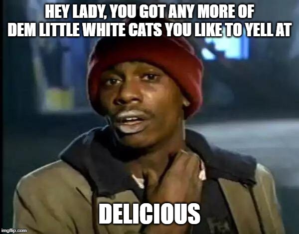 BON APPETIT CAT FEET | HEY LADY, YOU GOT ANY MORE OF DEM LITTLE WHITE CATS YOU LIKE TO YELL AT; DELICIOUS | image tagged in y'all got any more of that,cat | made w/ Imgflip meme maker