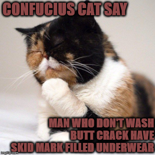 CONFUCIUS CAT | CONFUCIUS CAT SAY; MAN WHO DON'T WASH BUTT CRACK HAVE SKID MARK FILLED UNDERWEAR | image tagged in confucius cat | made w/ Imgflip meme maker