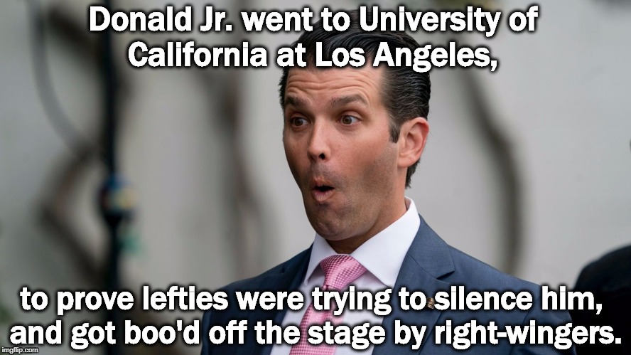 Not as planned. Dumber than his pa, if such a thing is possible. | Donald Jr. went to University of 
California at Los Angeles, to prove lefties were trying to silence him, 
and got boo'd off the stage by right-wingers. | image tagged in donald trump jr looking smarter than usual,donald junior,dumb,dumber,tree stump,moron | made w/ Imgflip meme maker