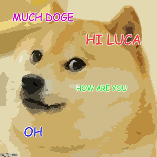 Doge | MUCH DOGE; HI LUCA; HOW ARE YOU; OH | image tagged in memes,doge | made w/ Imgflip meme maker