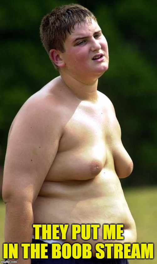 man boobs | THEY PUT ME IN THE BOOB STREAM | image tagged in man boobs | made w/ Imgflip meme maker