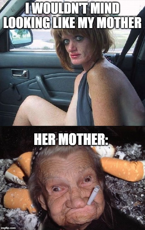 I WOULDN'T MIND LOOKING LIKE MY MOTHER HER MOTHER: | image tagged in crack whore hooker | made w/ Imgflip meme maker