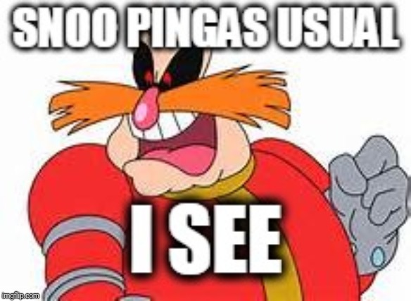 Snoo pingas usual I see xD | image tagged in pingas,robotnik,funny memes,memes,funny,dr robotnik | made w/ Imgflip meme maker