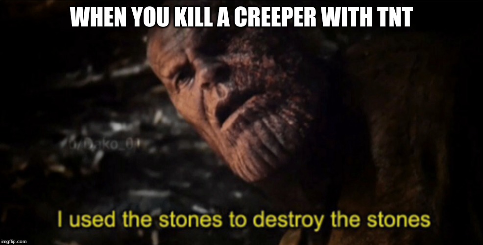 I used the stones to destroy the stones | WHEN YOU KILL A CREEPER WITH TNT | image tagged in i used the stones to destroy the stones | made w/ Imgflip meme maker
