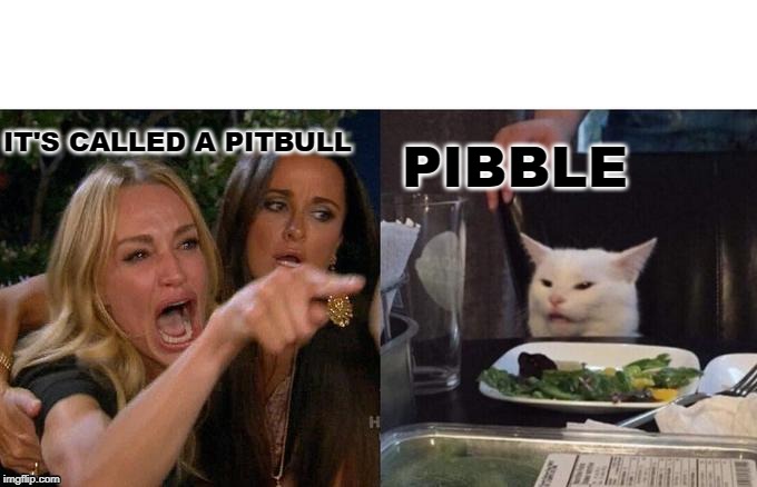 Woman Yelling At Cat Meme | IT'S CALLED A PITBULL; PIBBLE | image tagged in memes,woman yelling at cat | made w/ Imgflip meme maker