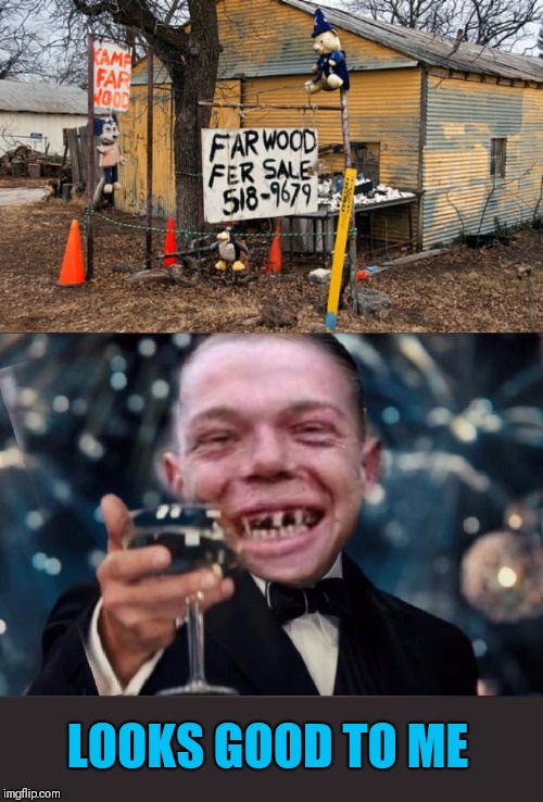 I've always wanted a far place | LOOKS GOOD TO ME | image tagged in cheers redneck,toothless,44colt,winter,fire place,fire | made w/ Imgflip meme maker