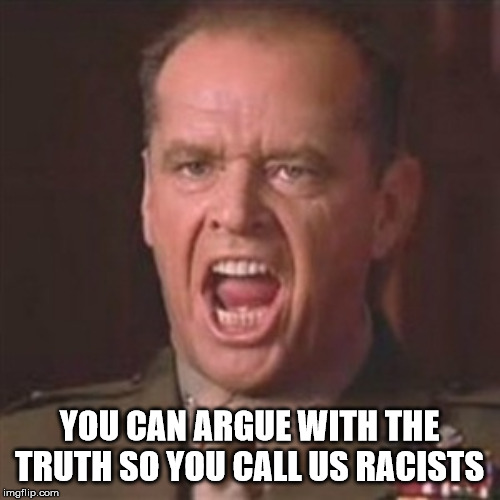 You can't handle the truth | YOU CAN ARGUE WITH THE TRUTH SO YOU CALL US RACISTS | image tagged in you can't handle the truth | made w/ Imgflip meme maker