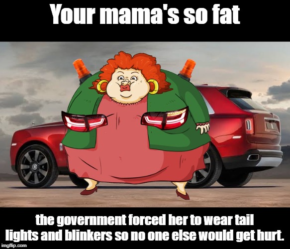 The government forced | Your mama's so fat; the government forced her to wear tail lights and blinkers so no one else would get hurt. | image tagged in politics | made w/ Imgflip meme maker