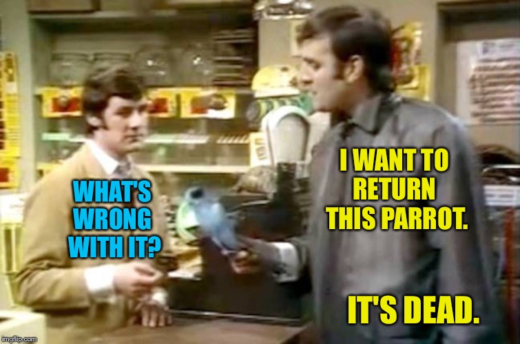Monty python dead parrot | I WANT TO 
RETURN 
THIS PARROT. IT'S DEAD. WHAT'S 
WRONG 
WITH IT? | image tagged in monty python dead parrot | made w/ Imgflip meme maker