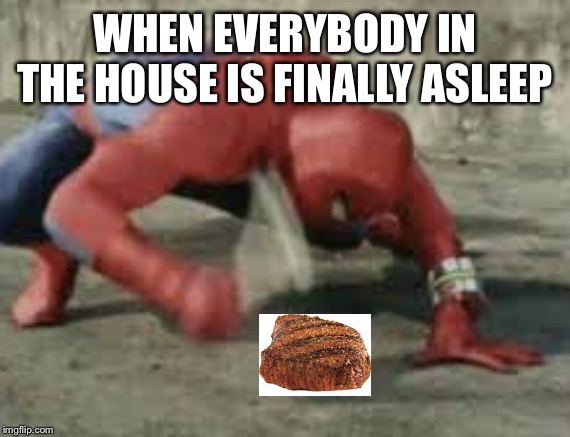 Beatus The Meatus | WHEN EVERYBODY IN THE HOUSE IS FINALLY ASLEEP | image tagged in spiderman with a wrench,beat my meat,house,asleep | made w/ Imgflip meme maker